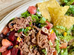 -油梨树AVOCADO TREE(顺义新国展店)