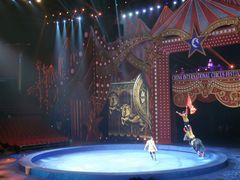 -珠海横琴长隆《卡卡虎奇遇记》