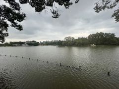 -江心屿景区