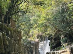 -大鄣山卧龙谷景区