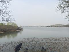 -丁香湖公园