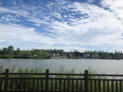 -上海长兴岛郊野公园