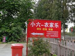 -小六农家乐(崇明西沙湿地店)