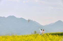 点击看大图 -唯一视觉婚纱摄影(李家村店)