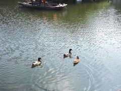 -水绘园