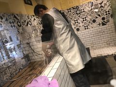 -西元前宠物酒店(郑庄府邸店)