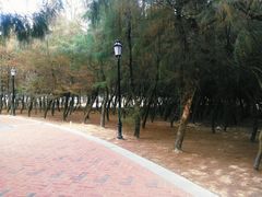 -马銮湾景区