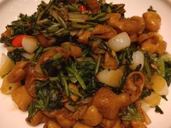 -刘胖子家常菜·蹄花焖藕(兴业店)