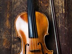 -石葵(锦业时代店)