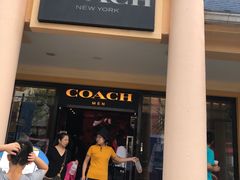-COACH蔻驰(赛特奥特莱斯店)