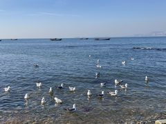 -银沙滩浴场