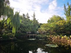 -秋霞圃