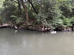 -兰亭风景区