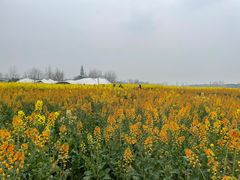 -中国天府农业博览园