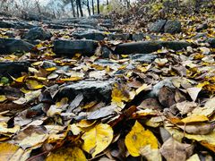 -阳台山自然风景区