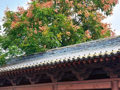 -祥源·阜阳生态乐园