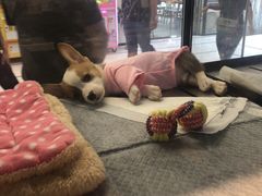 -琦迹保龄球馆(七宝店)