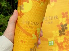 -奈雪的茶(正弘城PRO+店)