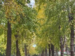 -东钱湖旅游度假区