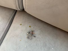 -亚善天籁S酒店(成都太古里旗舰店)