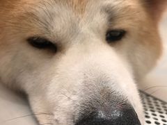 -YCHL Studios健身工作室(市二宫店)