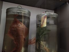 -正佳自然科学博物馆