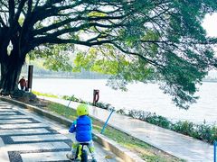 -南国桃园旅游度假区