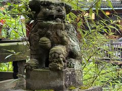 -青城山
