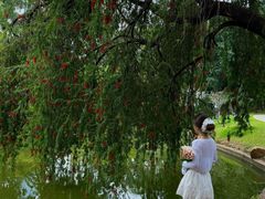 -人民公园(罗湖区)