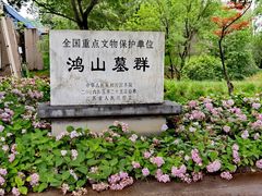 -鸿山遗址博物馆