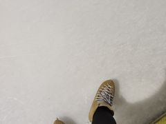 -世界之窗阿尔卑斯冰雪世界
