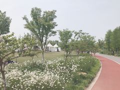 -上海长兴岛郊野公园