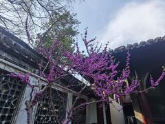 -何园
