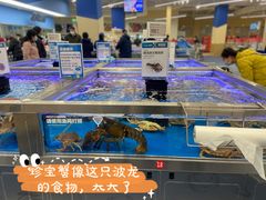 -盒马X会员店(上海森兰商都店)