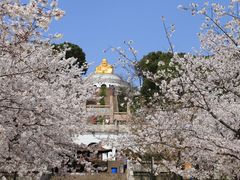 -苏州上方山国家森林公园