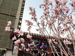 -西海子公园