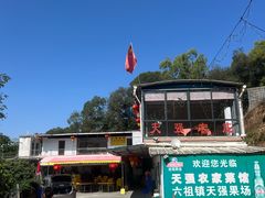 -天强农家菜馆