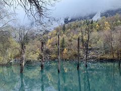 -叠溪松坪沟景区