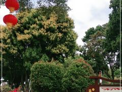 -紫马岭公园