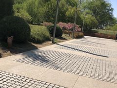 -仁和公园(顺义区)