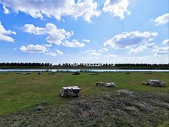 -春花秋色城市公园