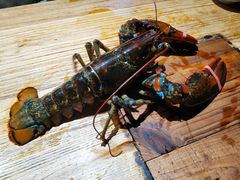 -辉记炭烧海鲜大排档·老字号(福田店)
