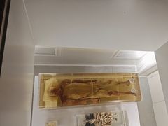 -荆州博物馆