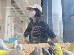 -怪兽屋·羊驼·猫咖·狗咖(俊华广场店)