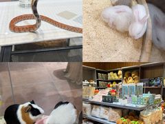 -天河城购物中心