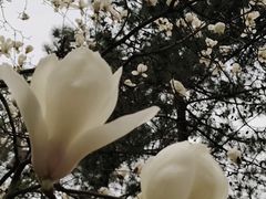 -同济大学(嘉定校区)