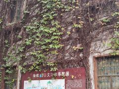 -伦教678文化街
