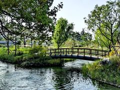 -上海植物园-4号门售票处