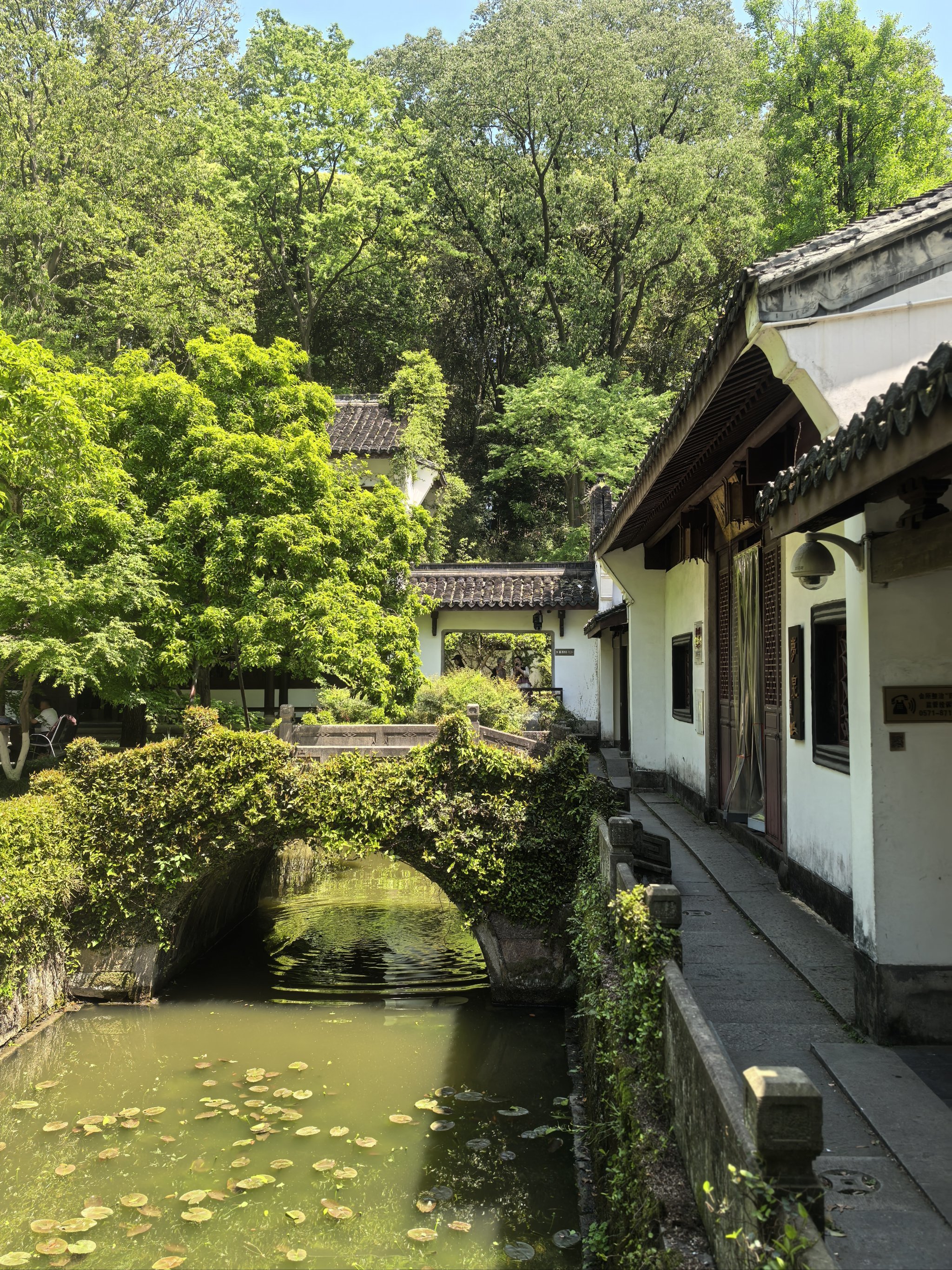 别再只知道西湖啦,杭州虎跑公园藏着绿夜仙踪❗
