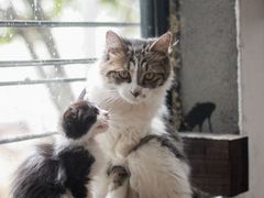 -五月木作·DIY木作文创体验店(北京路店)